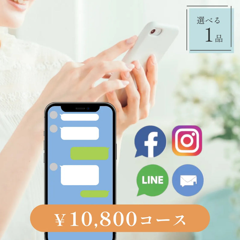 SNSで贈る【データ納品型】｜Nova（ノヴァ）｜1品セット｜10,800円コース｜掲載2,730点【fitau限定】