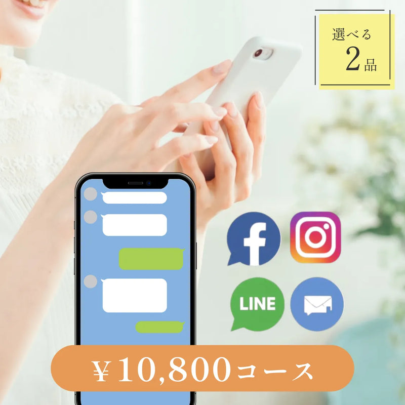 SNSで贈る【データ納品型】｜Nova（ノヴァ）｜2品セット｜10,800円コース｜掲載2,730点【fitau限定】