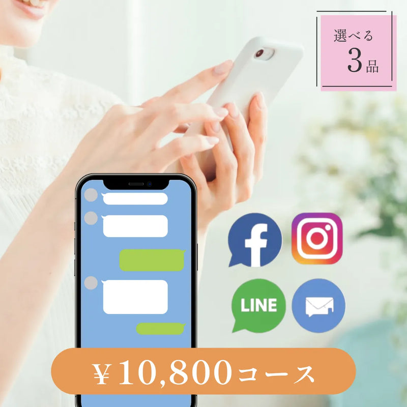 SNSで贈る【データ納品型】｜Nova（ノヴァ）｜3品セット｜10,800円コース｜掲載2,730点【fitau限定】